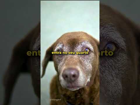 Se Defendendo de Curiosos no PC