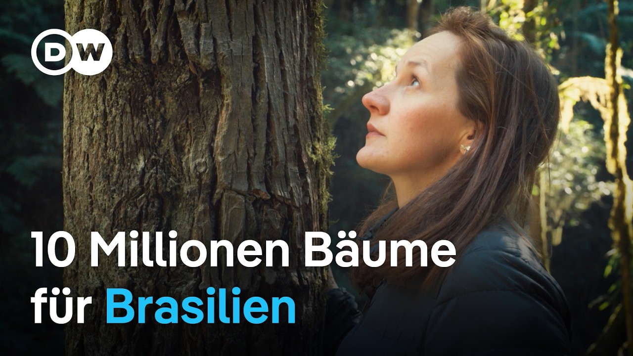 Familie Schaffer pflanzt 10 Millionen Bäume um Brasiliens Regenwald zu schützen | Global US