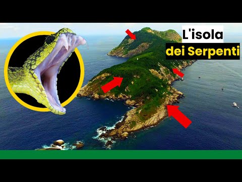 NON puoi USCIRE VIVO da quest'ISOLA | L'isola dei SERPENTI