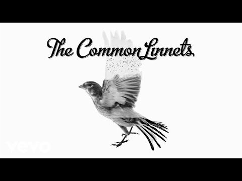 Arms of Salvation - The Common Linnets