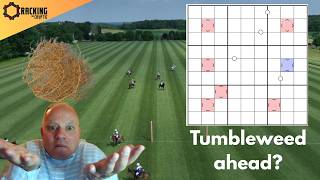 A Polo Field with Tumbleweed?