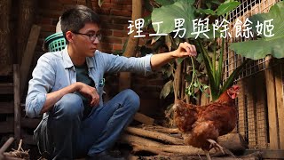 [問卦] 現在自己養雞應該來得及吧