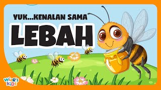 Download lagu LEBAH | Mengenal Hewan Lebah | Belajar Nama Hewan untuk Anak-anak | Bee mp3 Download lagu LEBAH | Mengenal Hewan Lebah | Belajar Nama Hewan untuk Anak-anak | Bee mp3