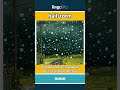 hailstorm - a storm where small balls of... video thumbnail