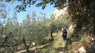 Itinerario naturalistico ad anello Ferentillo-Gabbio-Nicciano
