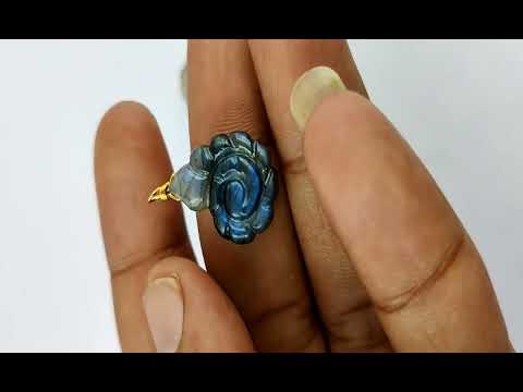 Nanplanetsilver gemstone nautilus shell carved gold vermeil ...