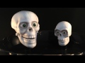 Sinny's Stuff Animated Talking Skulls Halloween ...