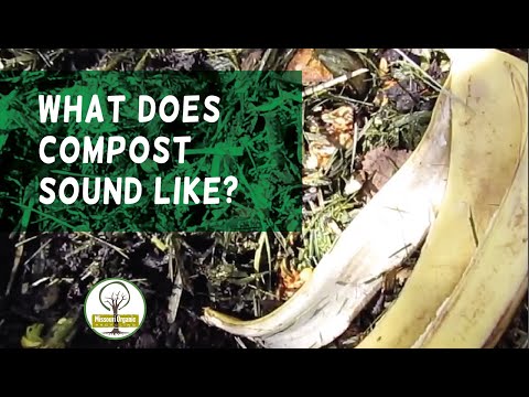 Sounds in a Compost Pile