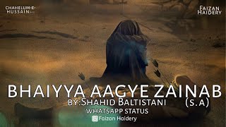 Bhaiyya aagye zainab  By Shahid Baltistani  chahel