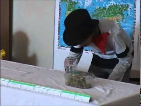 Fasching 2011 VS Mureck Teil 2