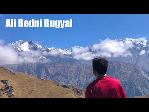 Ali Bedni Bugyal | Himalyan Trek | Uttarakhand
