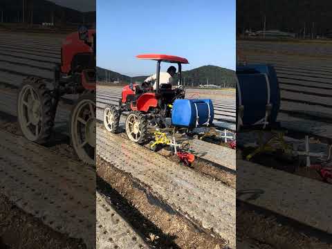 구보다 NR23 승용관리기. 마늘 파종후 배토작업