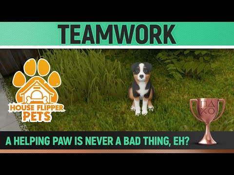 House Flipper - Pets DLC - Teamwork 🏆 Trophy / Achievement Guide