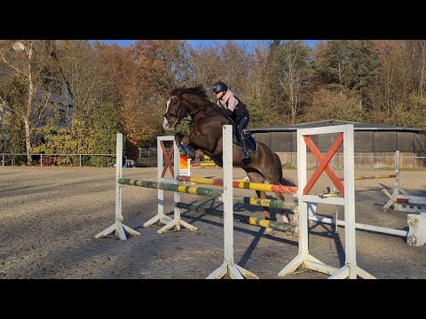 Malu (12) und Zappa - Sprungreihen am 12.11.2021