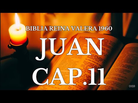 Biblia Hablada-BIBLIA REINA VALERA 1960 JUAN CAP 11