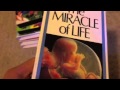 What VHS Openings I Can Do On Youtube