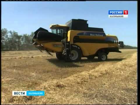 Вести «Калмыкия»: выпуск 29.10.2015 на калмыцком языке