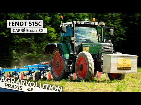Fendt 515C + Carré Econet SGI with Elément L • Hoeing maize | Agrarvolution Praxis