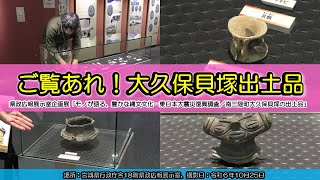 ご覧あれ!大久保貝塚出土品:企画展「モノが語る、豊かな縄文文化―東日本大震災復興/南三陸町大久保貝塚出土品―」