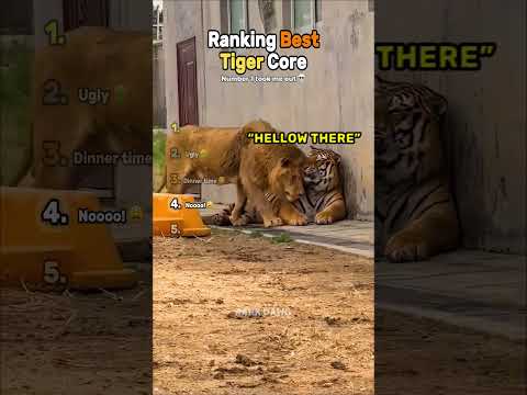 Ranking Best Tiger Core 🐯