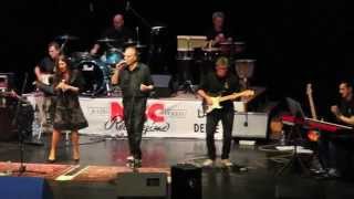 La ballata dell'Uomo Ragno - "De Gregori e dintorni"