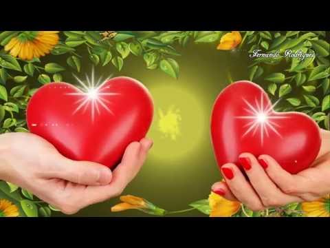 Tony Damito  "adeus querida"