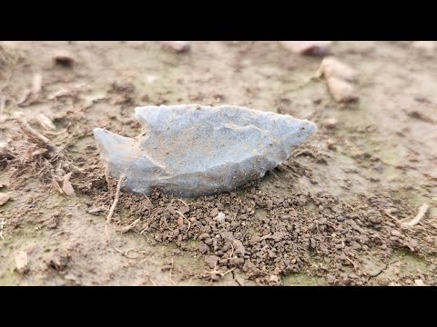 !!!Einfach unglaublich!!! (Muss man gesehen haben.) Pfeilspitzenjagd in Missouri.