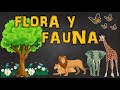 FLORA Y FAUNA | DEFINICIÓN Y EJEMPLOS