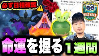 【ワイルドエリアチケット運命の刻迫る】シャドウゼクロムに新実装色違い！新限定ピカチュウ！盛り沢山の今週のポケ活まとめ【ポケモンGO】