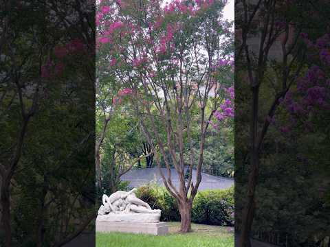 La estatua más romántica de Buenos Aires (Y no vas a creer dónde está)