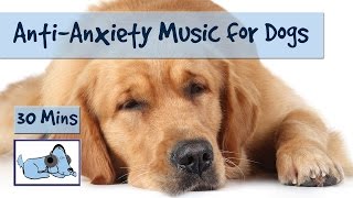 Anti Anxiety Music for Dogs! Separation Anxiety Music, Calming and Soothing Sounds
