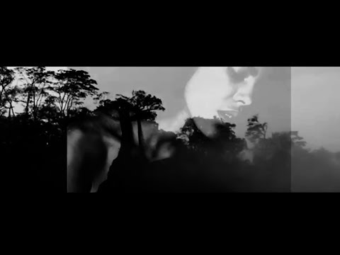 Libertree - Easy (Official Video)