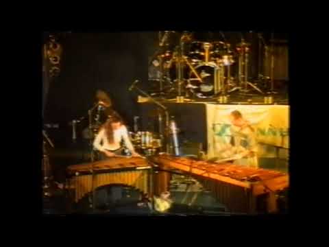 Abmiram Duo - David Friedman & Dave Samuels: Carousel (short version)