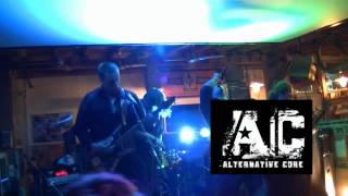 Video Fuck Rules Fest Vol. 2   2014