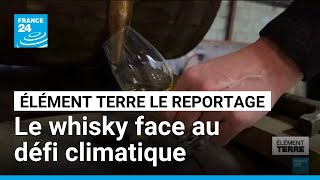 La disparition des tourbières menace le whisky écossais • FRANCE 24