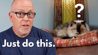 FACELESS Youtube Channels - Top Tips for Success!