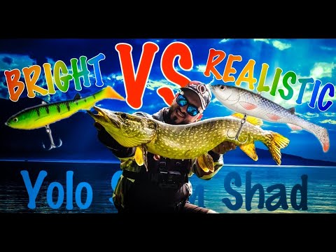 QUANTUM Yolo  Swim SHAD   Bright VS Realistic   PIKE fishing