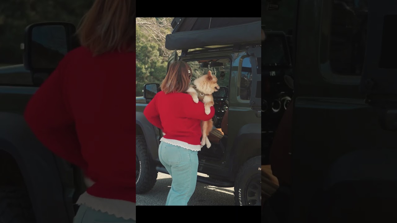 Main story☝️ -癒し🐶⌛️-