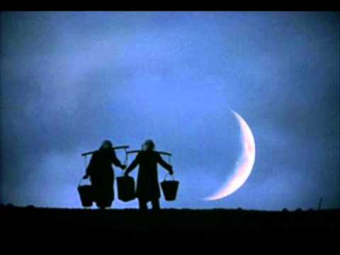 şeyhimin illeri - sami savni özer