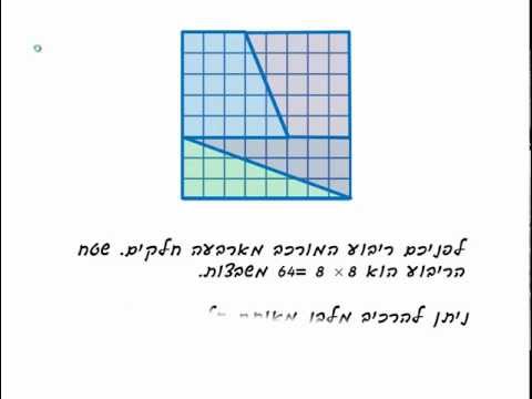 קסם המלבן: האם 64 שווה ל-65?