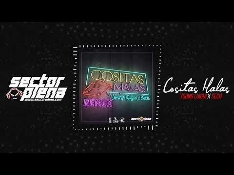 Young Luigui Ft Sech - Cositas Malas (Remix)