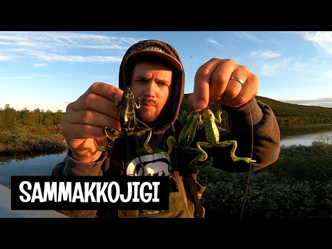PIKE ATTACK FROG - SHY FROGLURE TESTING IN FINNISH LAPLAND