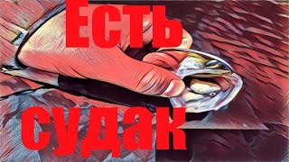Рыбалка троллингом рязанская областье
