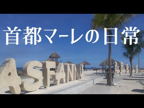 フルマーレ - 定義