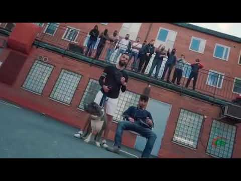 LA ROSY - HASHATAG (OFFICIAL MUSIKVIDEO) Syni-ruju remix