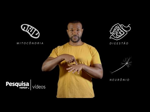https://www.youtube.com/watch?v=UaOwZxuPsXM&t=11s