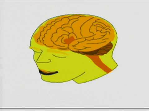 GODAR - 13 Singes cyclopes