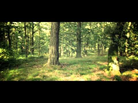 VEARZ featuring Gitti - why [Multivearzum] (prod Freshmaker)