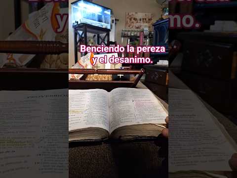 COMO VENCER LA PEREZA Y EL DESANIMO .