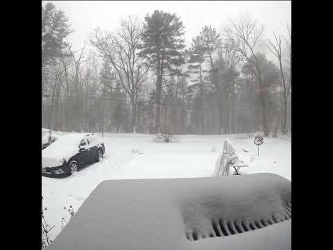 Massachusetts blizzard of January 29th, 2022